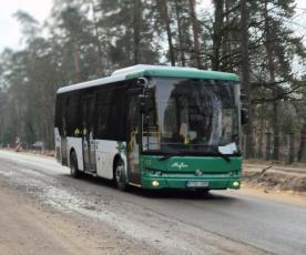 bus